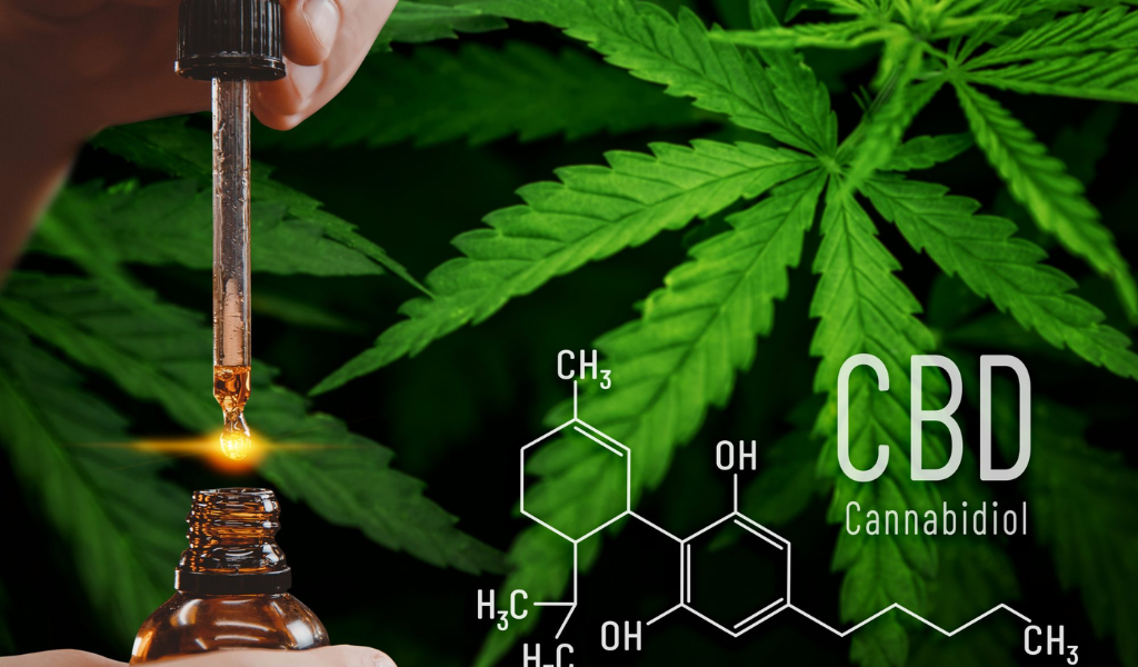 CBD Overview A Potential Solution for Nausea