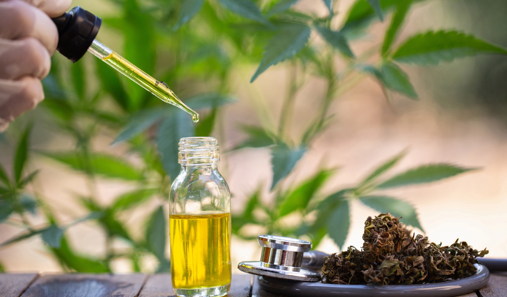 Important Factors to Consider When Choosing CBD Oil for Liver Damage