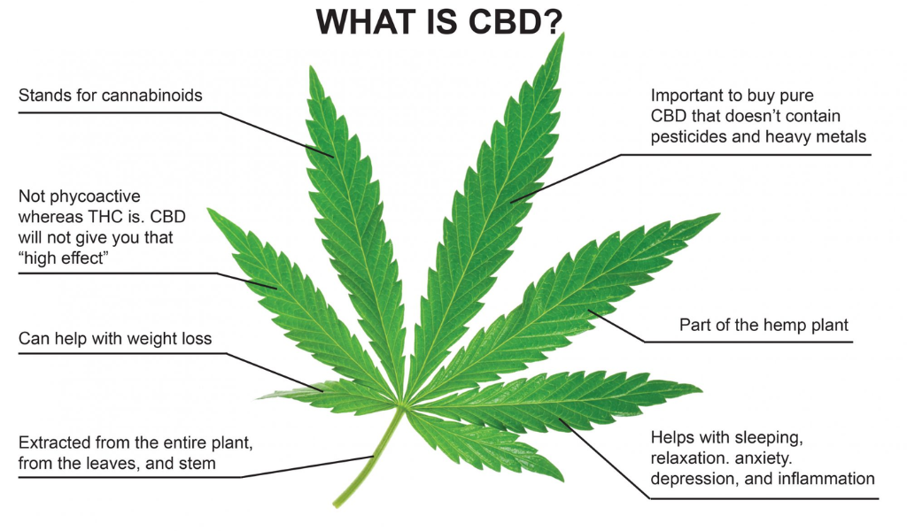 What is CBD