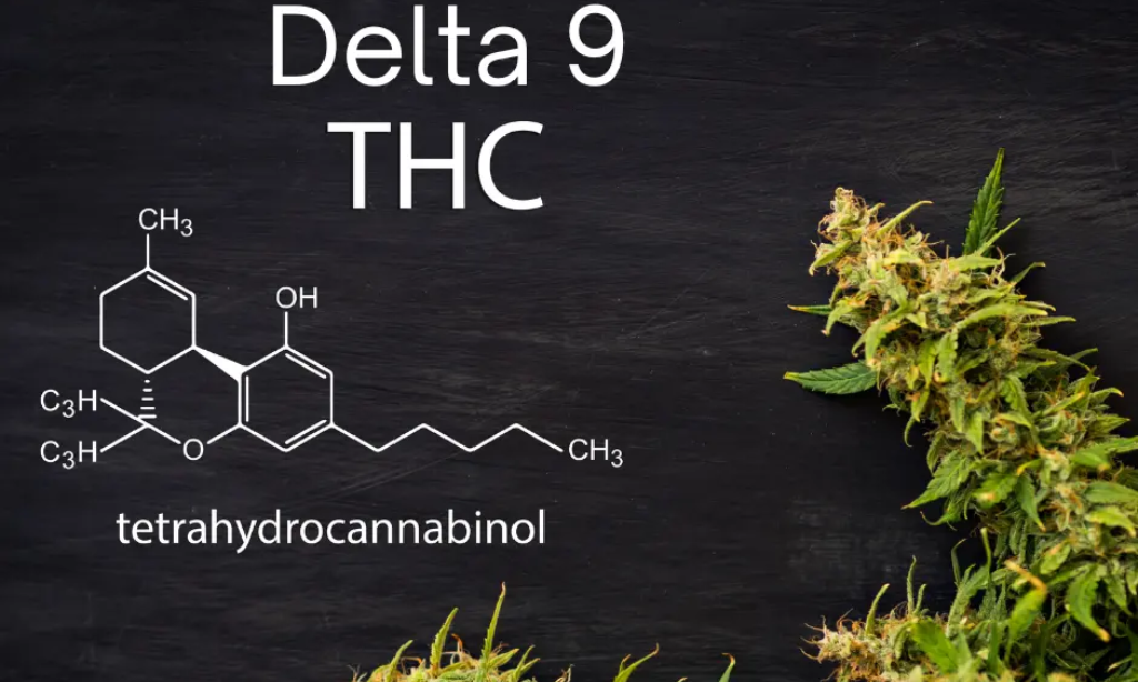 Understanding Delta 9 THC